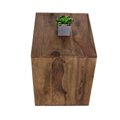 Modern Cubic Side Table with Open Storage Design-Wooden Crest